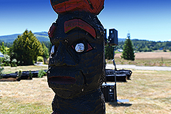 THE SECRET OF SEQUIM